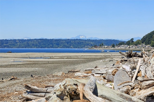 128 SW 208th St, Normandy Park, WA 98166 - photo 37