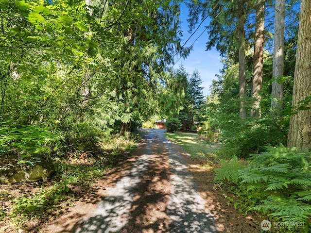 13709 34th Ave NW, Marysville, WA 98271 - photo 1