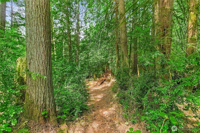 18200 Morganmarsh Ln W, Seabeck, WA 98380 - photo 29