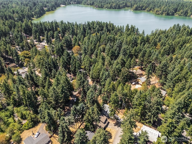22521 Clearland Ln SE, Yelm, WA 98597 - photo 34