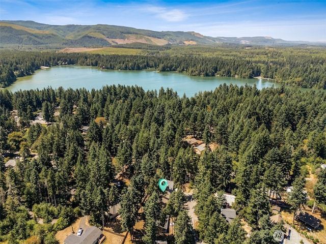 22521 Clearland Ln SE, Yelm, WA 98597 - photo 35