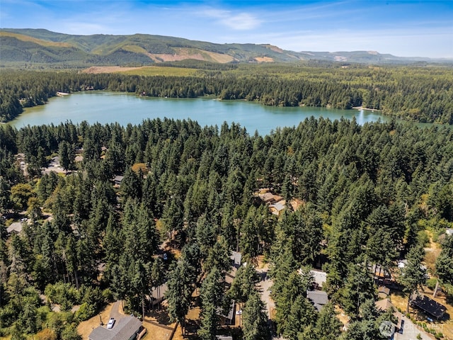 22521 Clearland Ln SE, Yelm, WA 98597 - photo 36
