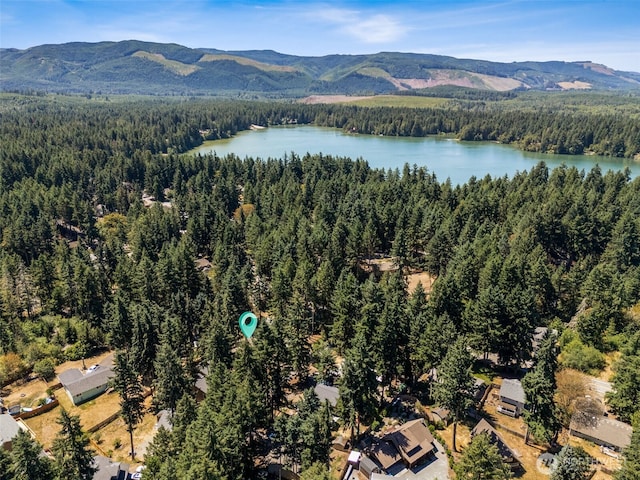 22521 Clearland Ln SE, Yelm, WA 98597 - photo 37