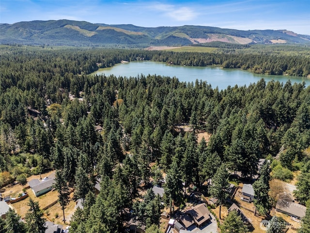 22521 Clearland Ln SE, Yelm, WA 98597 - photo 38
