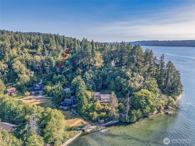 12825 SW Ober Beach Rd, Vashon, WA 98070 - photo 2