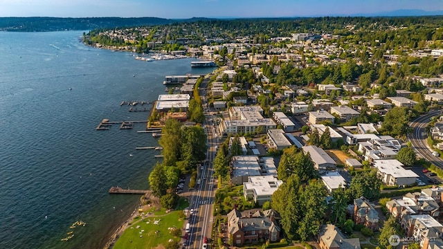6620 Lake Washington Blvd NE Unit 101, Kirkland, WA 98033 - photo 39