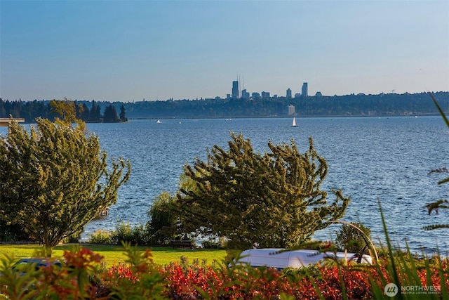 6620 Lake Washington Blvd NE Unit 101, Kirkland, WA 98033 - photo 7