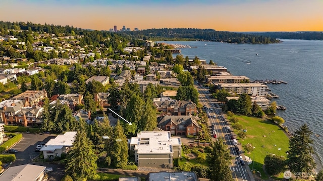 6620 Lake Washington Blvd NE Unit 101, Kirkland, WA 98033 - photo 37