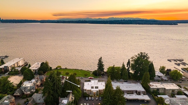 6620 Lake Washington Blvd NE Unit 101, Kirkland, WA 98033 - photo 1