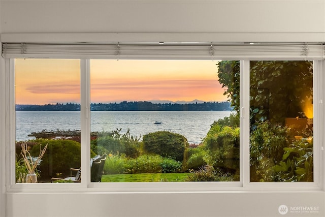 6620 Lake Washington Blvd NE Unit 101, Kirkland, WA 98033 - photo 19