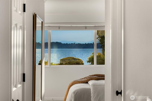 6620 Lake Washington Blvd NE Unit 101, Kirkland, WA 98033 - photo 22