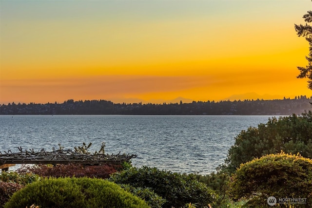 6620 Lake Washington Blvd NE Unit 101, Kirkland, WA 98033 - photo 33