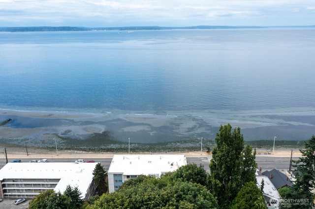 2200 Alki Ave SW Unit 203, Seattle, WA 98116 - photo 12