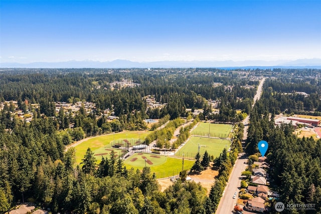 6810 168th St SW, Lynnwood, WA 98037 - photo 39