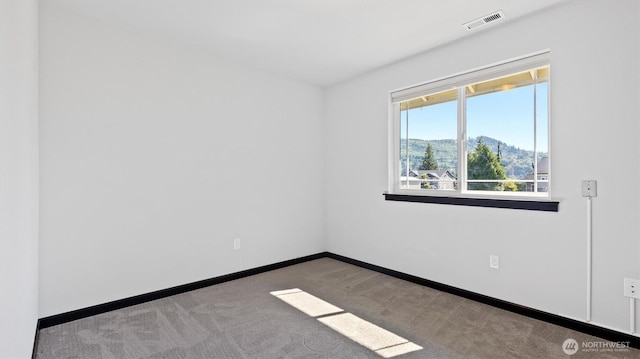 12700 Sawyer Ct, Clear Lake, WA 98235 - photo 28