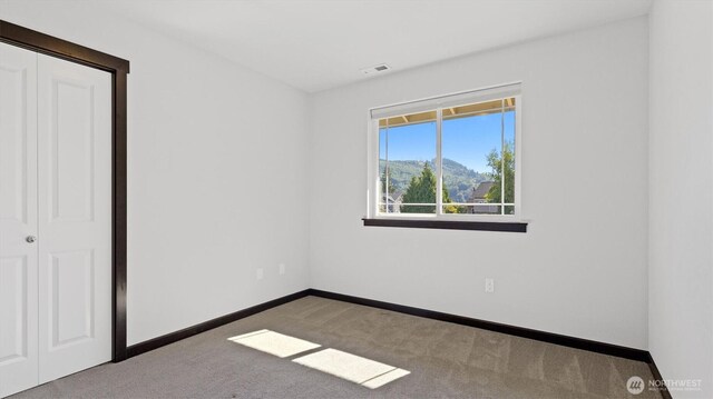 12700 Sawyer Ct, Clear Lake, WA 98235 - photo 30