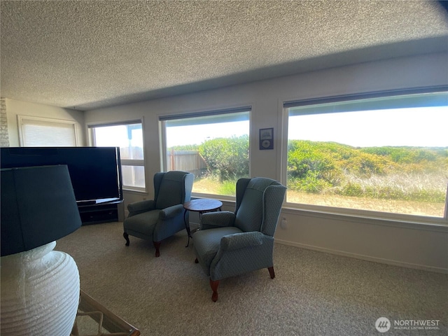 1051 Ocean Shores Blvd SW Unit 1B, Ocean Shores, WA 98569 - sitting room featuring a textured ceiling and carpet floors