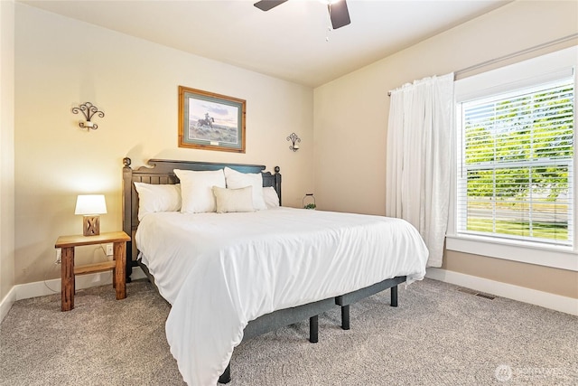 679 Robinson St, Everson, WA 98247 - photo 22