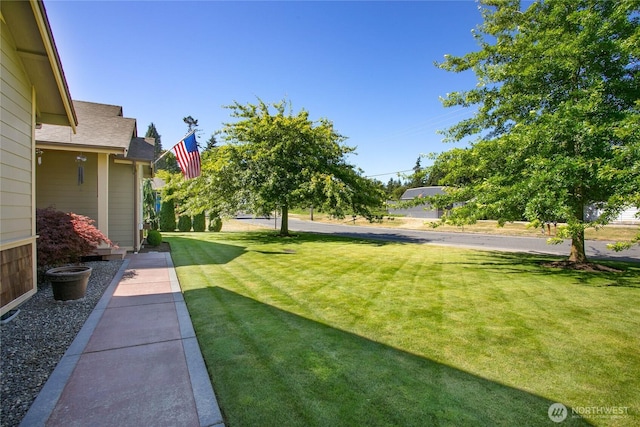 679 Robinson St, Everson, WA 98247 - photo 34