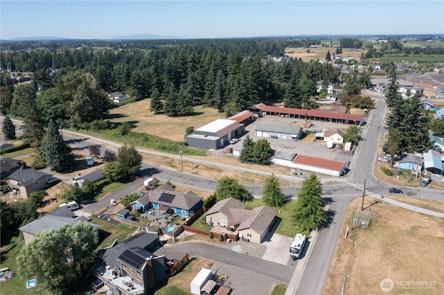 679 Robinson St, Everson, WA 98247 - photo 38