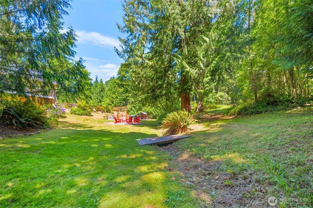 5308 245th Ave NE, Redmond, WA 98053 - photo 36