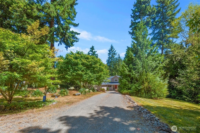 5308 245th Ave NE, Redmond, WA 98053 - photo 38