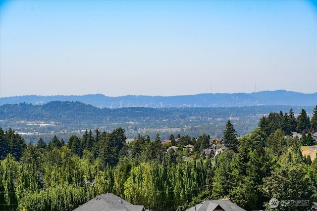 1672 NW Juneau Ct, Camas, WA 98607 - photo 18