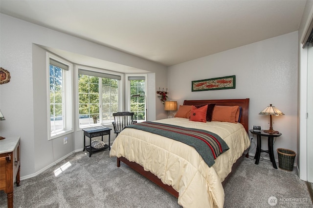 152 Hogans Vis, Sequim, WA 98382 - photo 27