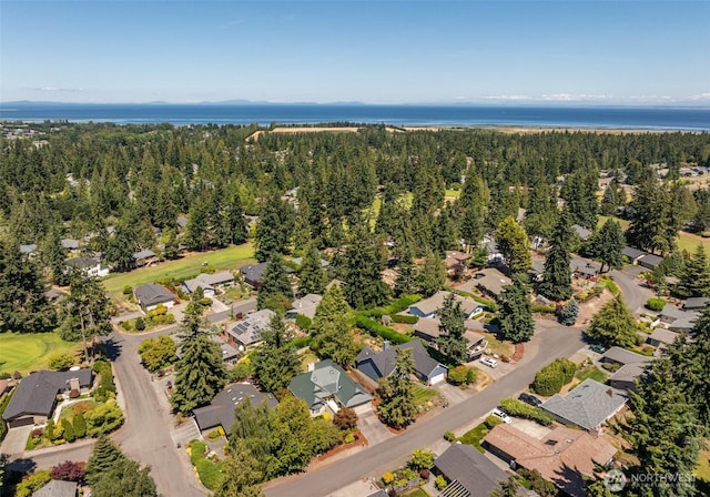 152 Hogans Vis, Sequim, WA 98382 - photo 39