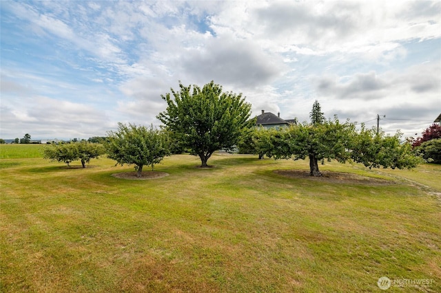 14142 Laconner Whitney Rd, Mount Vernon, WA 98273 - photo 6