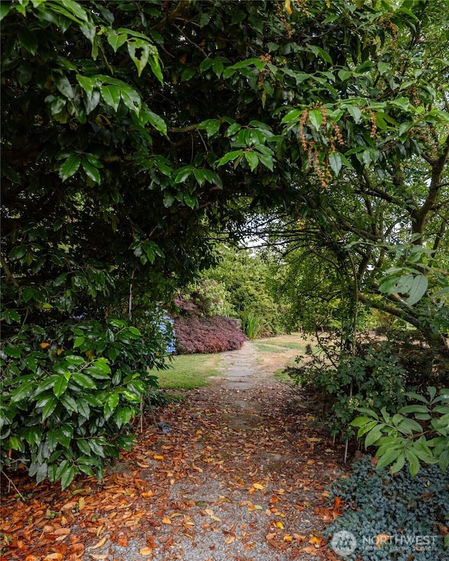 14142 Laconner Whitney Rd, Mount Vernon, WA 98273 - photo 8