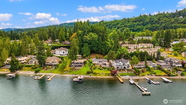 3938 SE 179th Ln, Bellevue, WA 98008