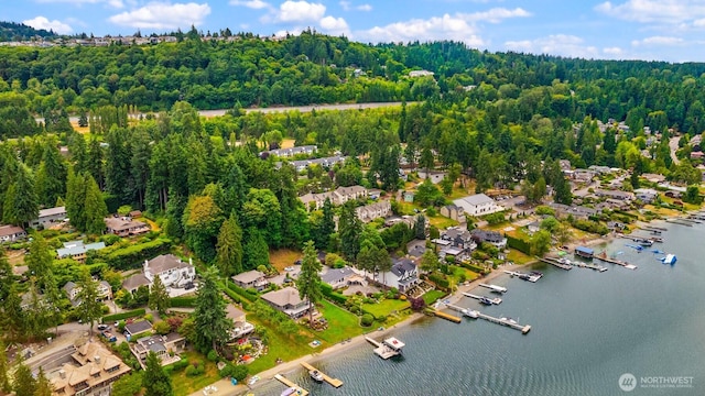 3938 SE 179th Ln, Bellevue, WA 98008