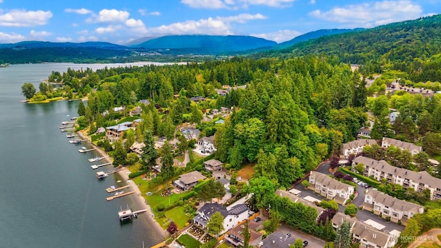 3938 SE 179th Ln, Bellevue, WA 98008