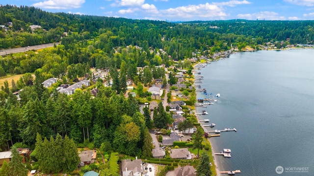 3938 SE 179th Ln, Bellevue, WA 98008