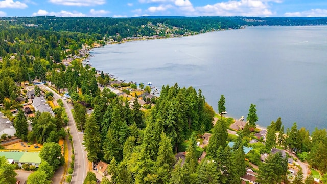 3938 SE 179th Ln, Bellevue, WA 98008