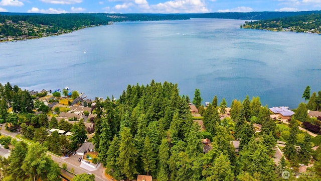 3938 SE 179th Ln, Bellevue, WA 98008