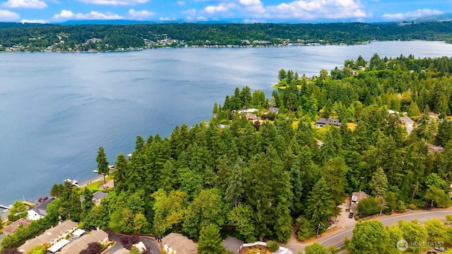 3938 SE 179th Ln, Bellevue, WA 98008
