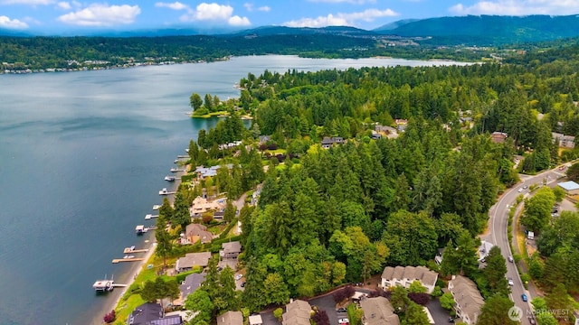 3938 SE 179th Ln, Bellevue, WA 98008