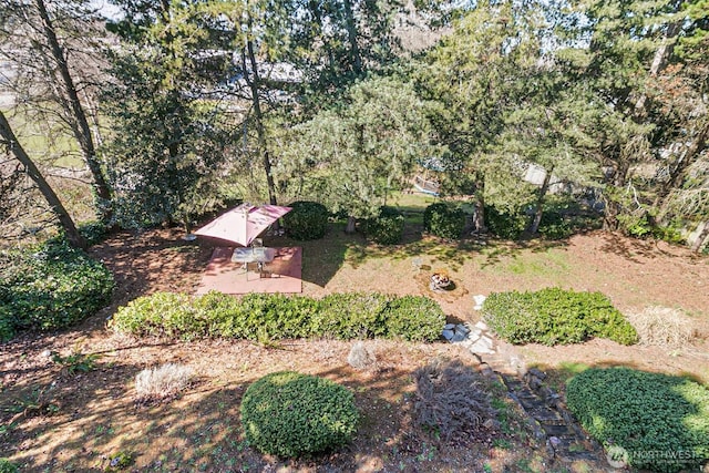 2520 Cascade Pl W Unit 2520, University Place, WA 98466 - photo 30