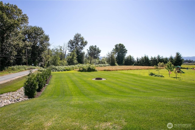 671 Robinson St, Everson, WA 98247 - photo 1
