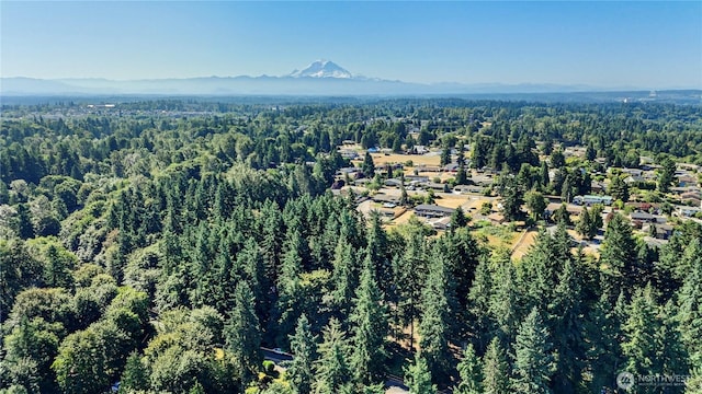 10915 SE 287th St, Auburn, WA 98092 - photo 26