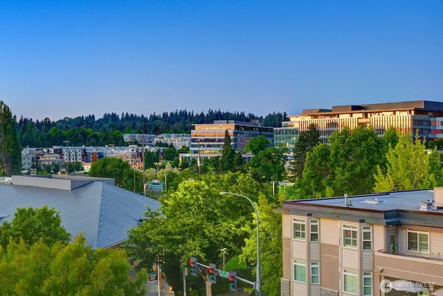 211 Kirkland Ave Unit 504, Kirkland, WA 98033 - photo 20