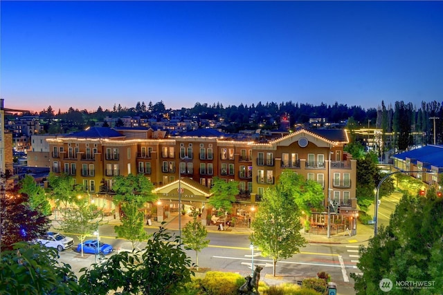 211 Kirkland Ave Unit 504, Kirkland, WA 98033 - photo 21