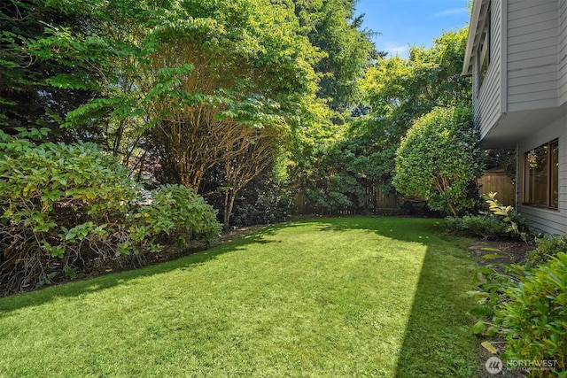 4428 143rd Ave SE, Bellevue, WA 98006 - photo 29