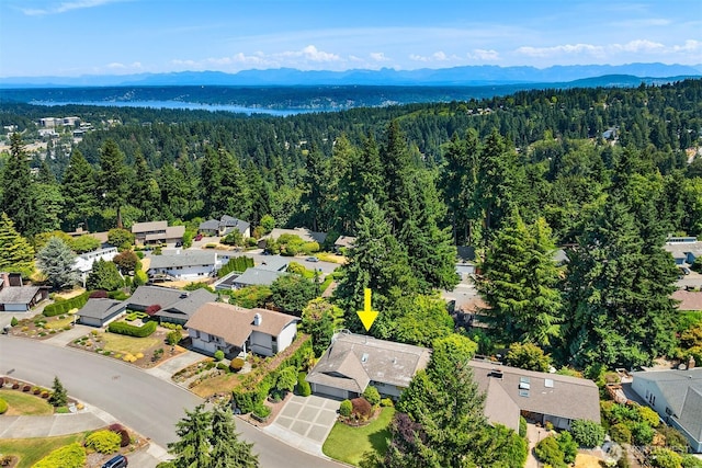 4428 143rd Ave SE, Bellevue, WA 98006 - photo 33