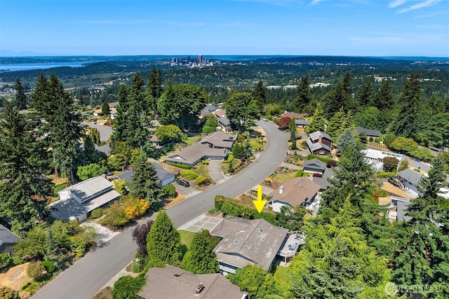 4428 143rd Ave SE, Bellevue, WA 98006 - photo 34