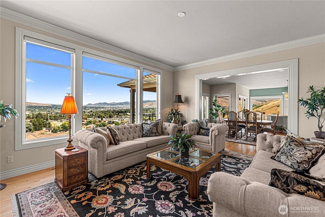 1776 Broadway Pl, Wenatchee, WA 98801 - living area with light wood-type flooring, crown molding, and a mountain view