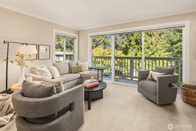 5021 Ripley Ln N Unit 211, Renton, WA 98056 - photo 6