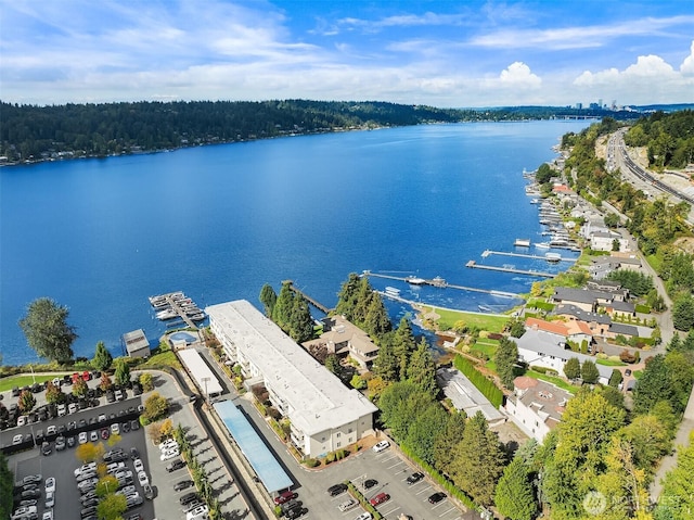 5021 Ripley Ln N Unit 211, Renton, WA 98056 - photo 21